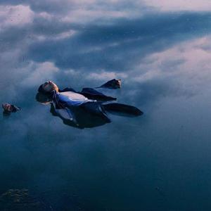 最新变态另类aⅴ
