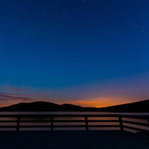 最新变态另类aⅴ
